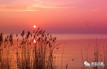 17篇情感微小说，短到极致，却催人泪下，看完泪眼模糊