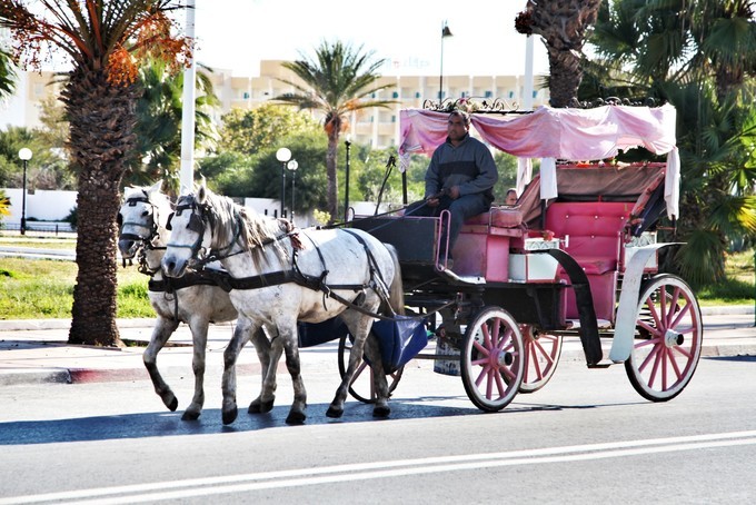 突尼斯｜一个微笑，一句“salam”，我为你动容（1）