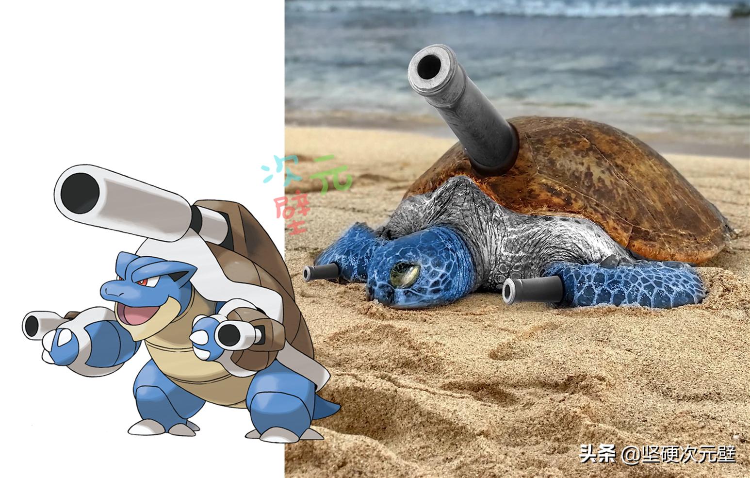 神奇宝贝喷火龙的进化史中文版,神奇宝贝火恐龙进化成了喷火龙