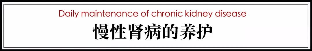 猫病视频,猫肾脏病视频大全