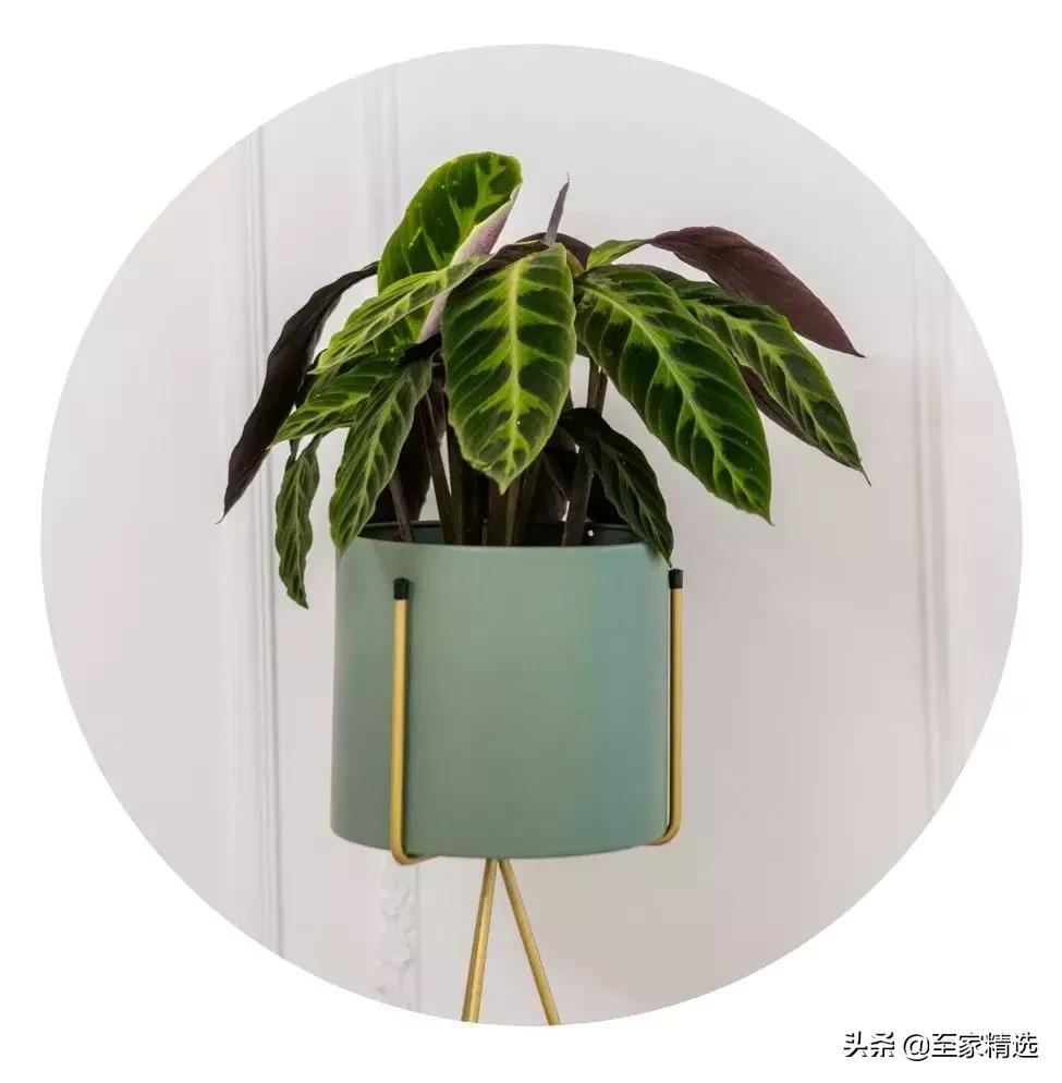 现代轻奢怎么打造温馨,如何打造轻奢的高档简约装修风格