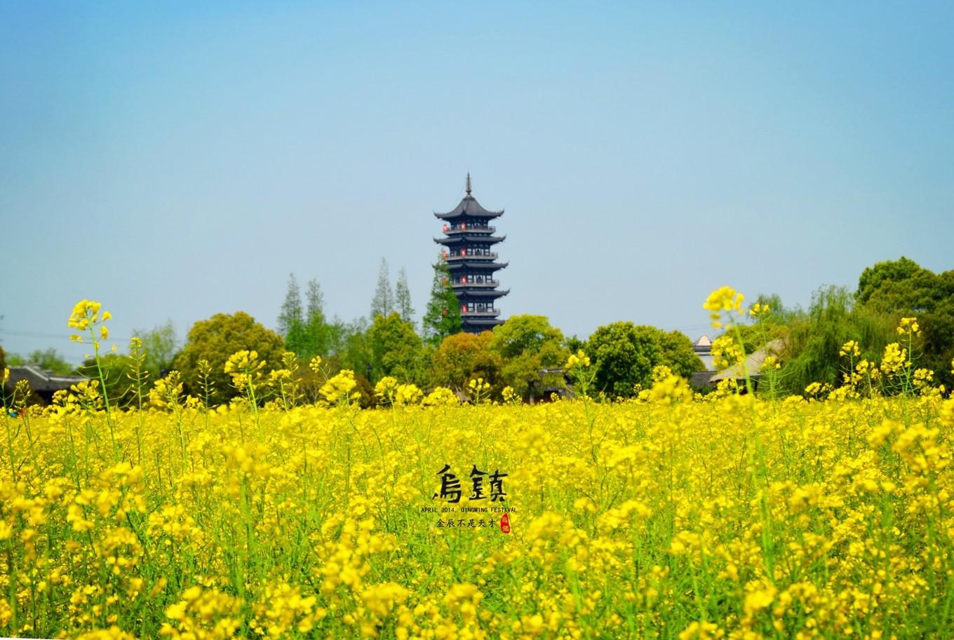 乌镇旅游攻略你了解吗,去乌镇旅行全攻略