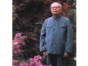 十大元帅6人会武，谁的功夫更胜一筹？*剑英叶**曾刀劈日本武术教官