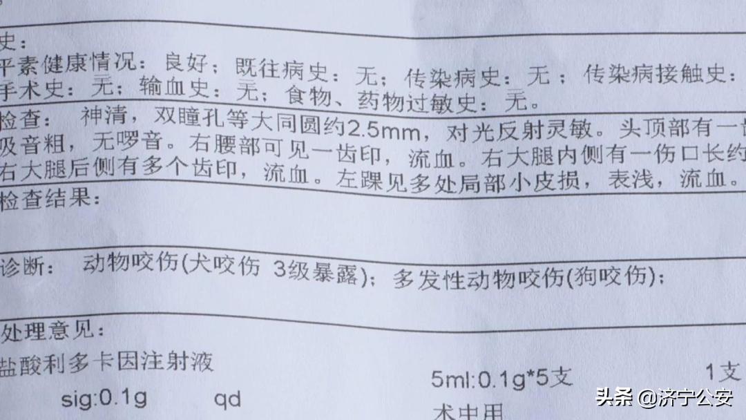 最新犬伤处置流程,关于犬伤处置