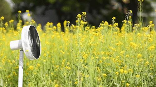 原装日本三菱进口风扇,日本顶级风扇价格