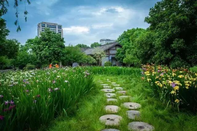 美美美!余杭七大花海组团来袭,遍地繁花好似人间仙境