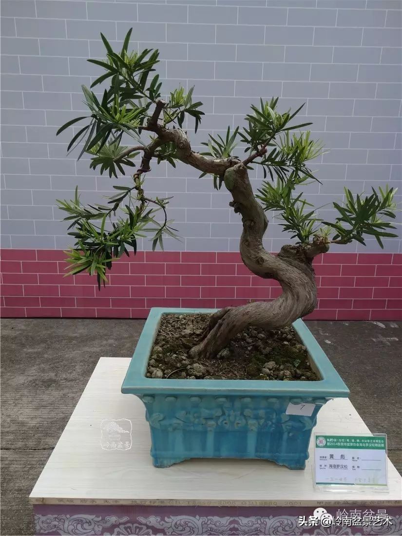 开运招财，非其莫属！清风雅韵，当之无愧！