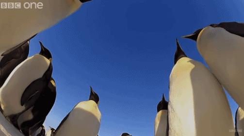 这6部电影足以秒杀大部分电影,十部必看旅行纪录片人文纪录片