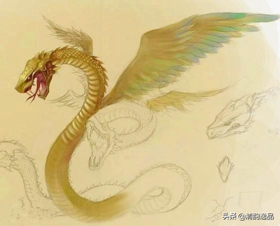 四海八荒十二大神兽，你了解几个？大多数人只知道凤凰