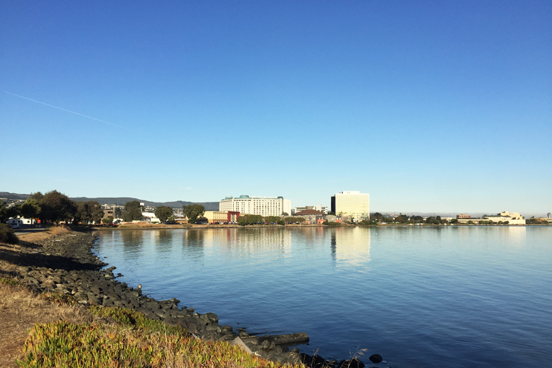 美国旧金山市规划,美国旧金山公园