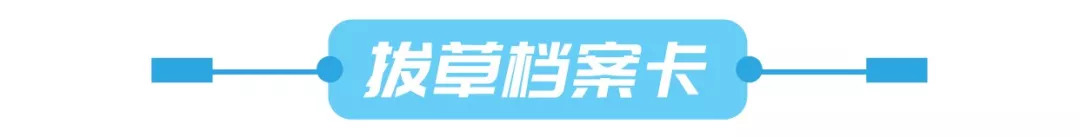 这个双十一你拔草了吗,魔都天山路双11