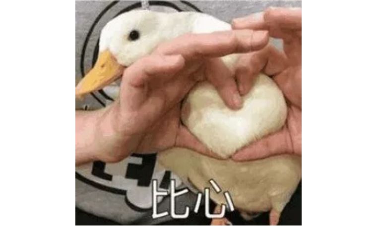 ysl人鱼姬,ysl人鱼姬色号