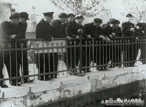 济南的法国梧桐,济南梧桐树美景