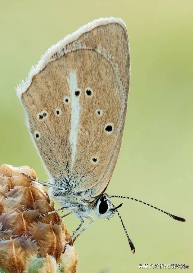 尼康相机如何分别对焦和测光,佳能相机全画幅新手教程