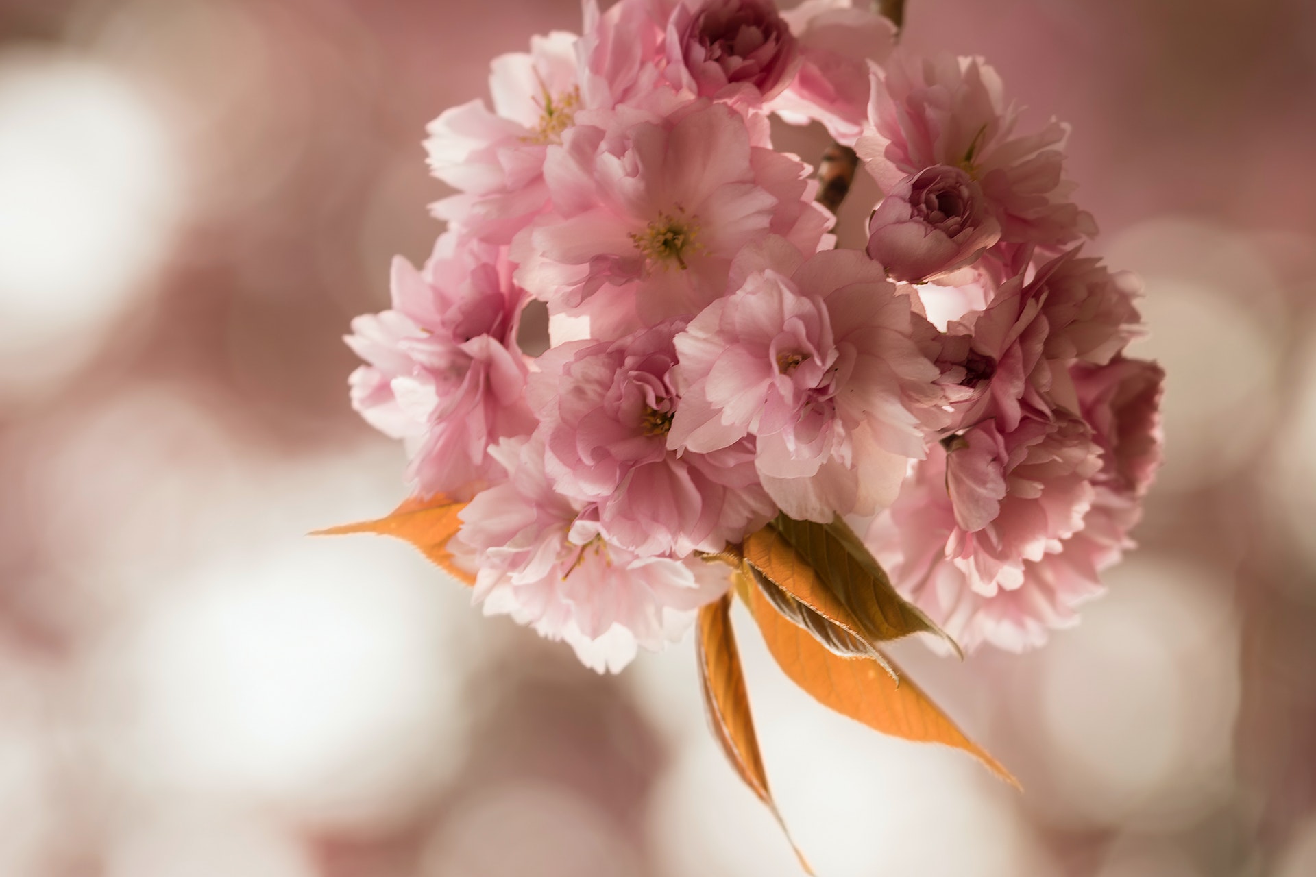 研究发现：真正的“人类高质量男性”，有三个共同特征