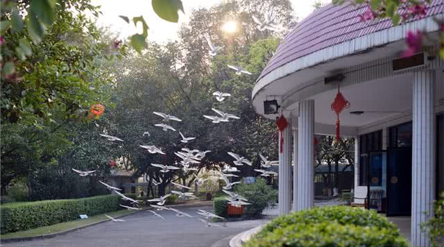 广东省内森林旅游景点,广东森林公园排行榜