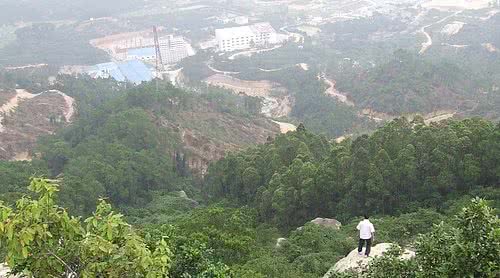 广东省内森林旅游景点,广东森林公园排行榜