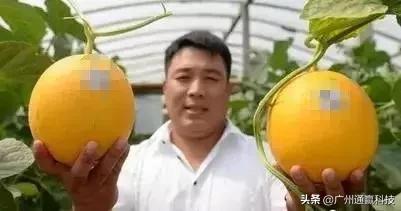 溯源农产品管理系统,溯源系统销售费用