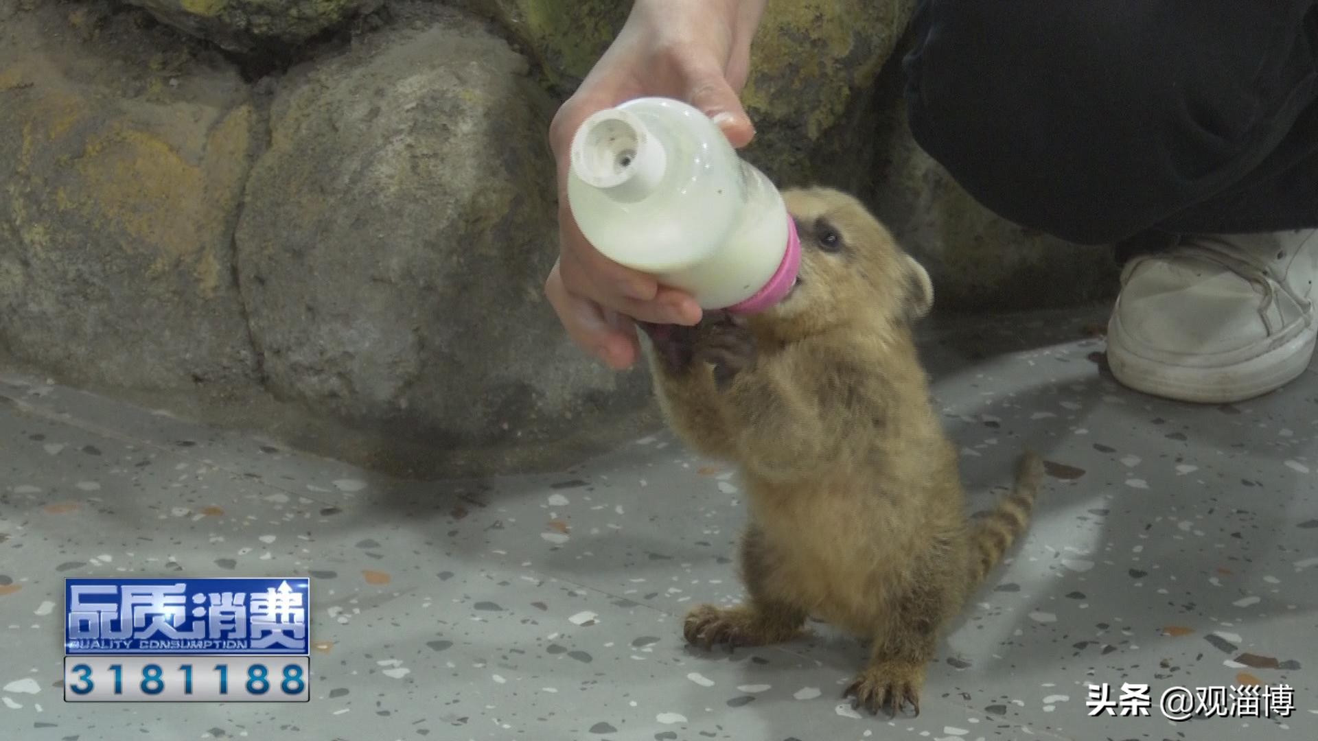 淄博动物乐园,淄博有动物的地方