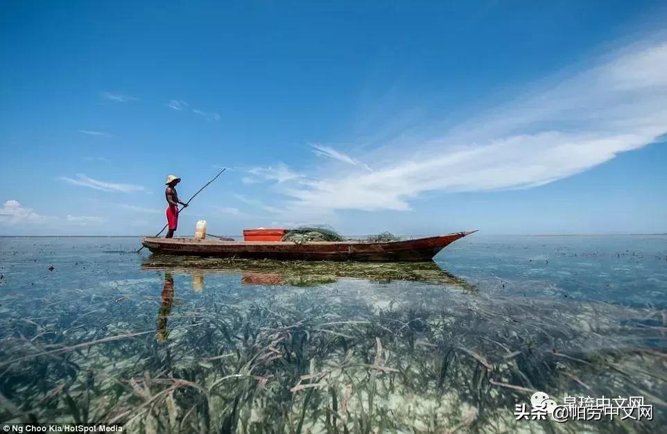 帕劳世界最美的海洋,加勒比海哪个国家景色好