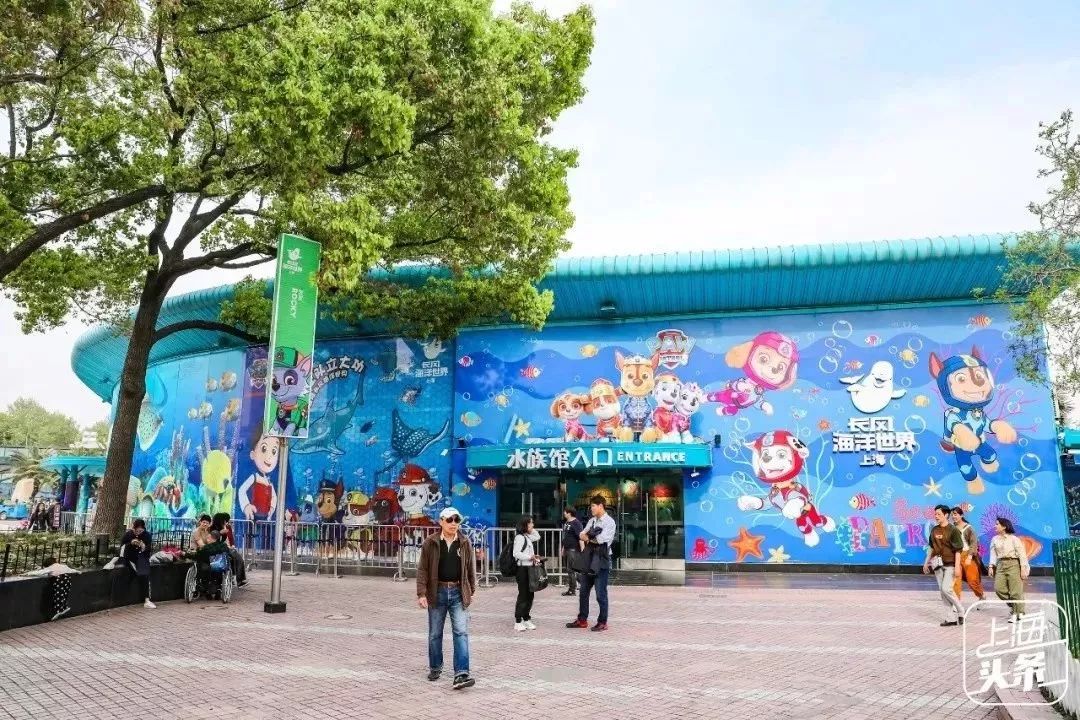 生日当天上海免费景点,上海网红打卡地点景点免费