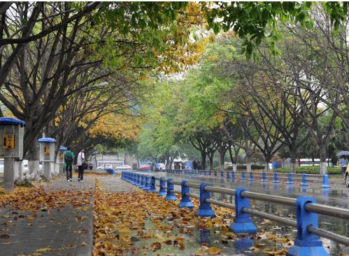 院系几乎全被“掏空”，竟仍能入选985，被誉为“西南第一学府”