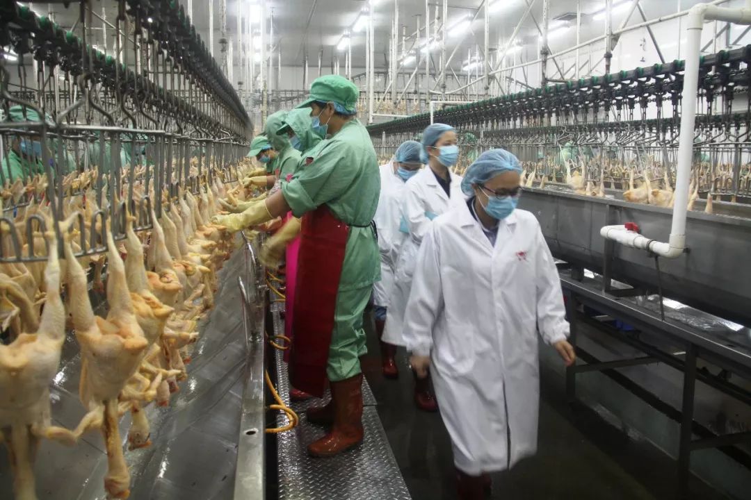 卖养猪饲料利润怎么样,卖饲料的辛苦