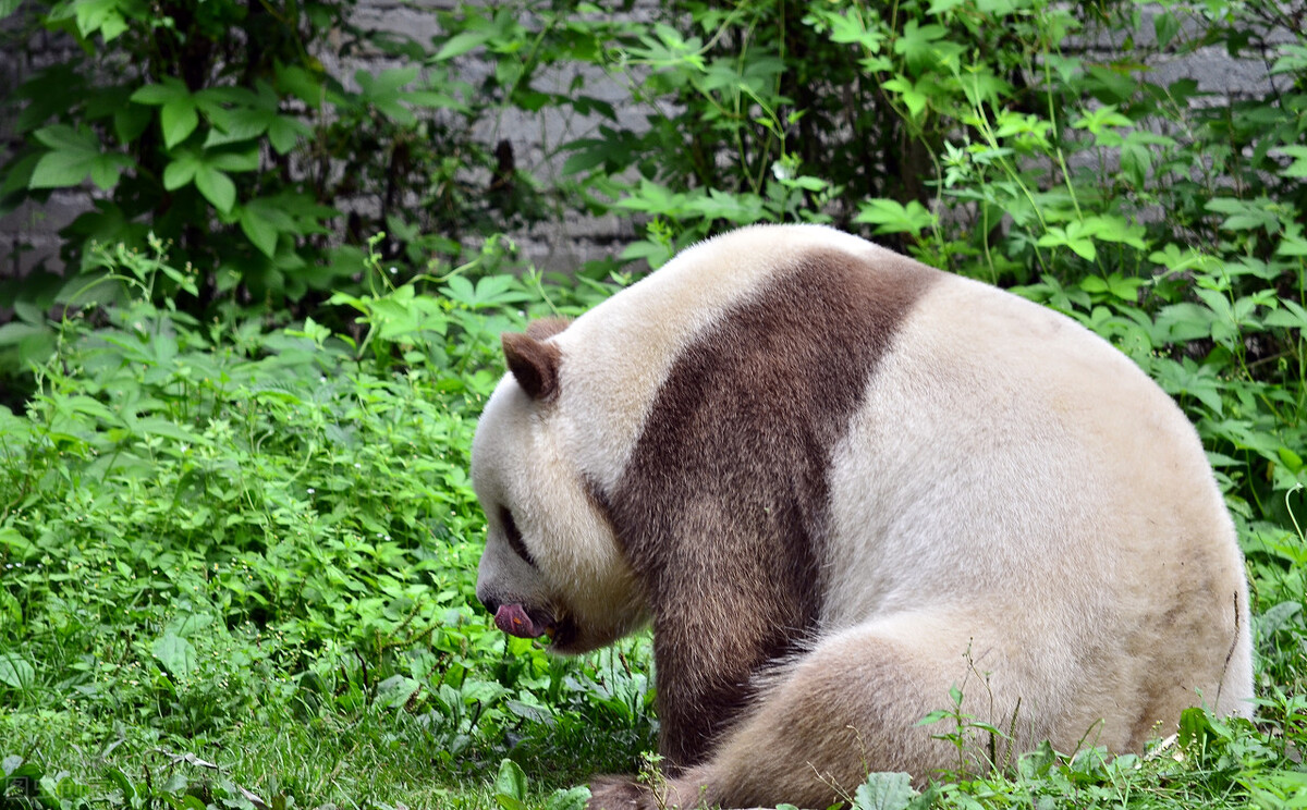 男女是如何产生下一代的,男女之间是怎样产生后代的