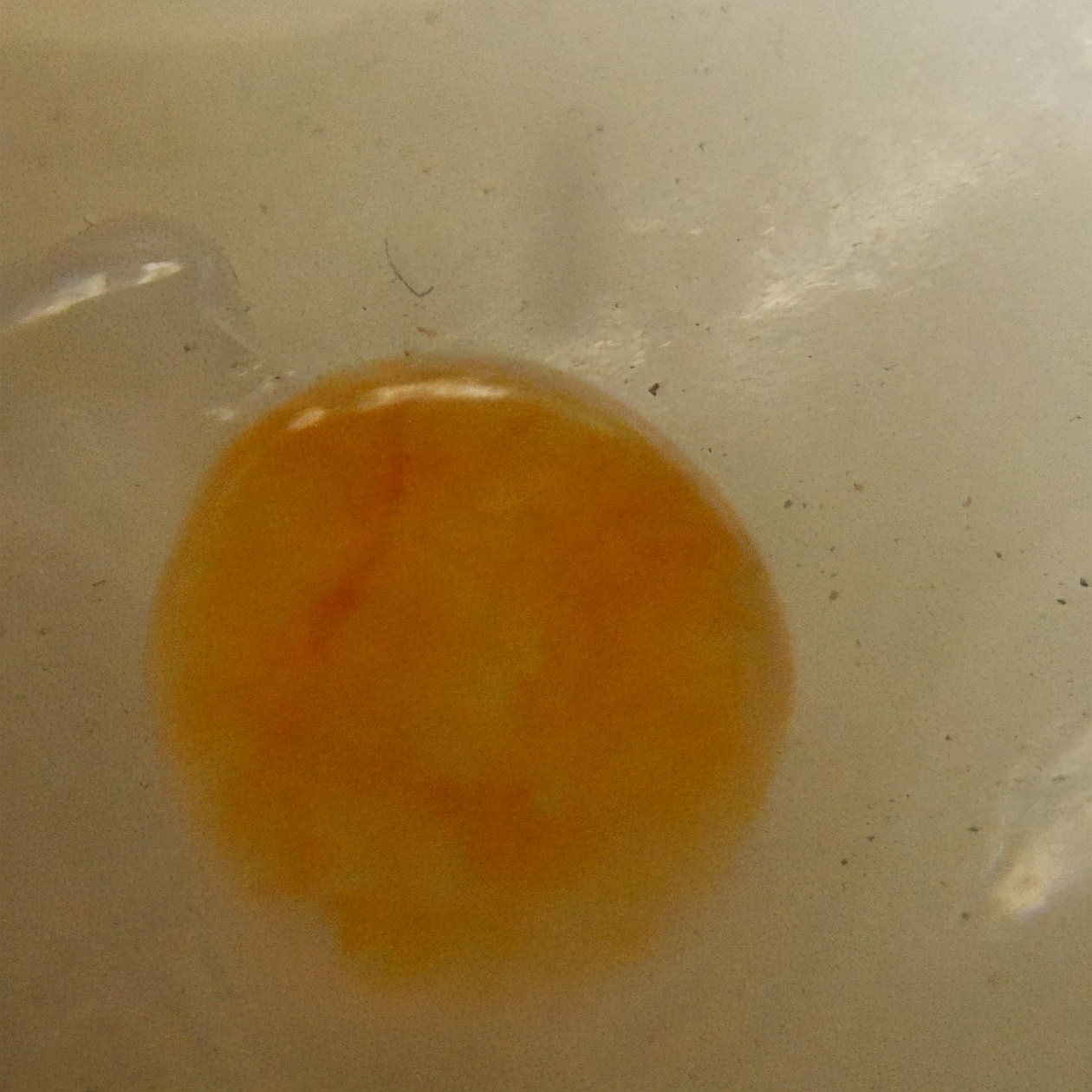 和田玉籽料各种颜色对照表,籽料染色视频