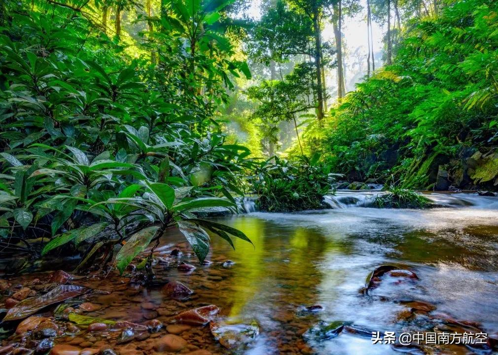 398往返机票,13999机票飞全国