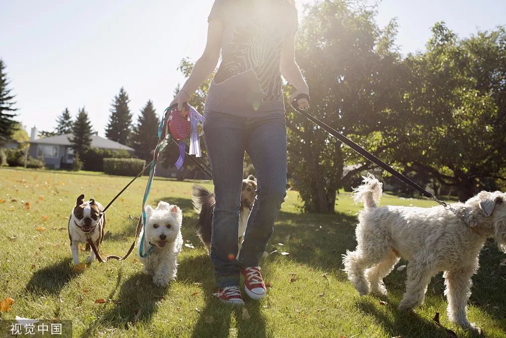 我有一份鸡排，你能帮我“代吃”一下吗？