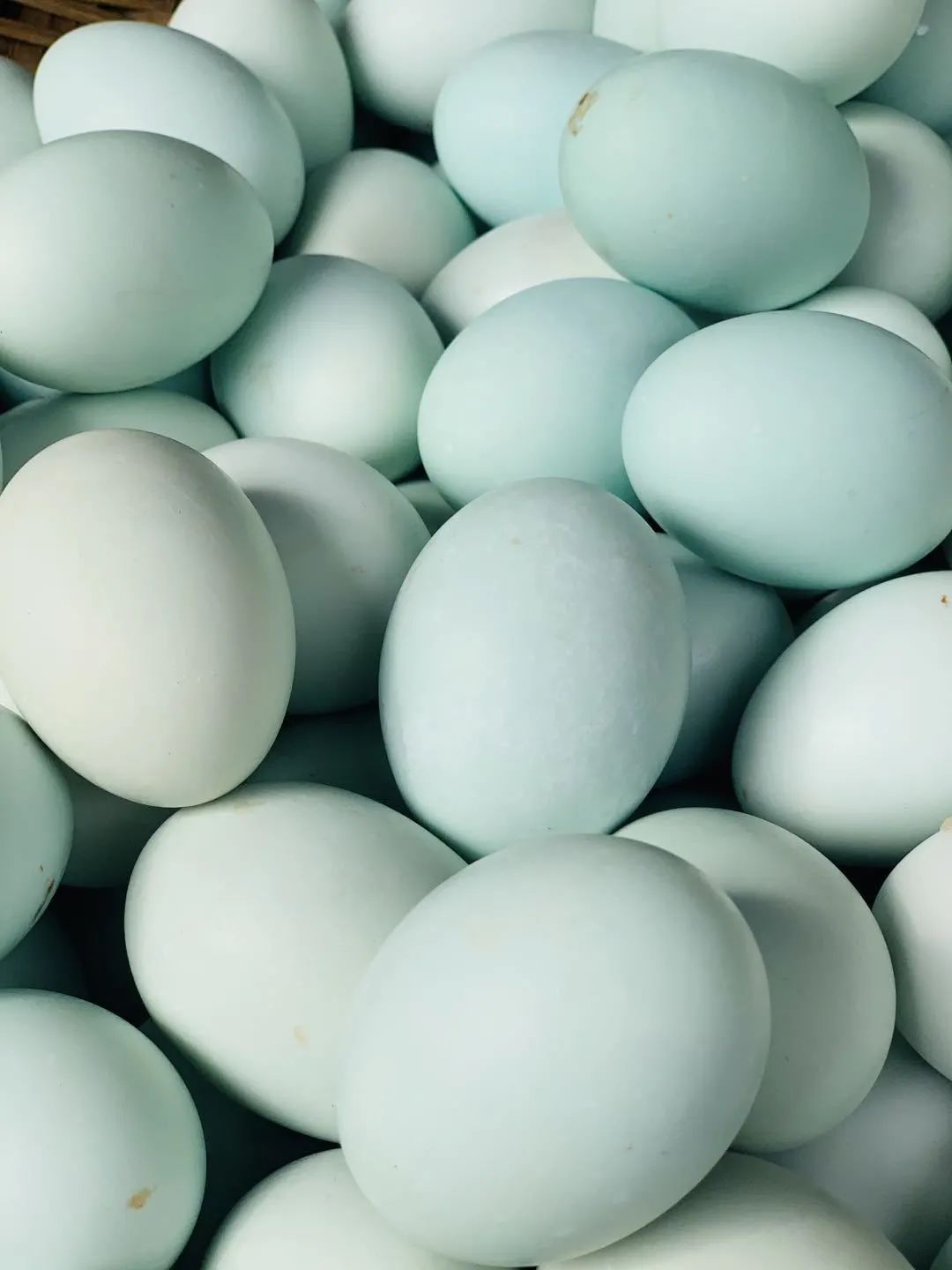 静远路便民服务中心在哪里,锦江区静远路便民服务中心