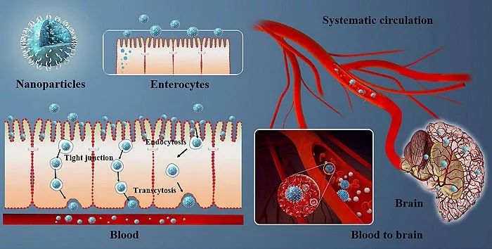 癫痫医学新突破,脑科学对于精神病的最新研究