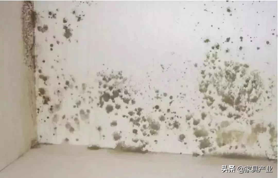 南方人家里一年四季都在发霉？这份除霉秘籍快收好