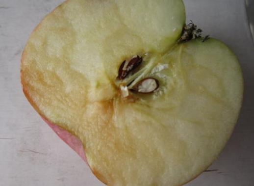 水果削好变黑了还能吃吗,切好的水果发黑了还能吃吗