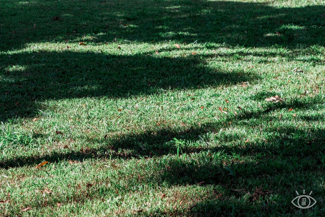 深圳各区最美的地方,深圳6个绝美地方