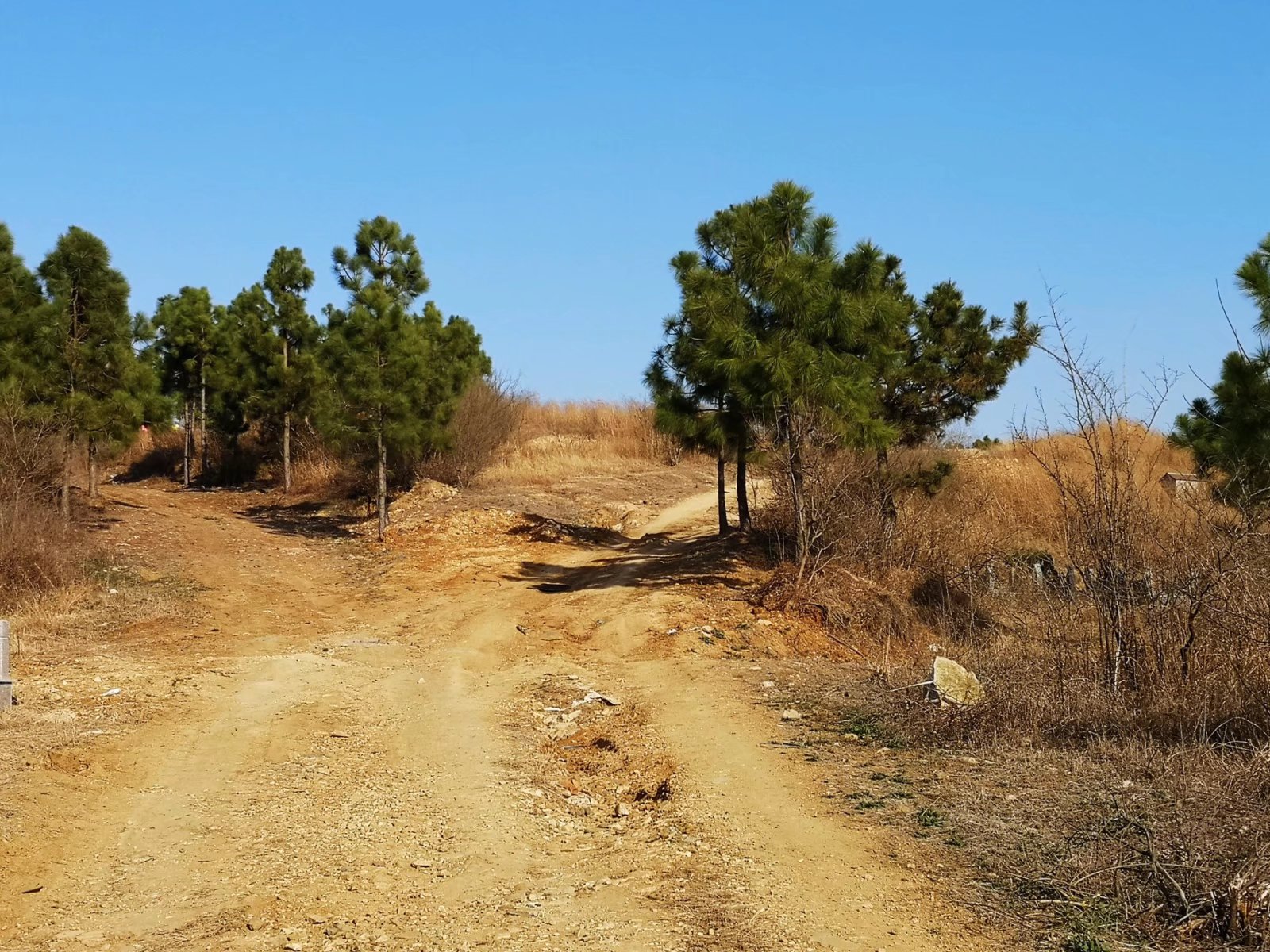 摩托周边旮旯游——探访蚌埠李楼鲁山寺遗址（上）