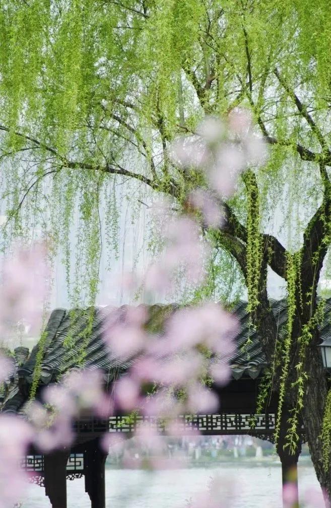 南怀瑾人倒霉的时候怎么办,南怀瑾人倒霉的时候如何转运