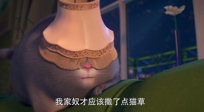 新年第一天给大家看点,新年第一天给大家看视频