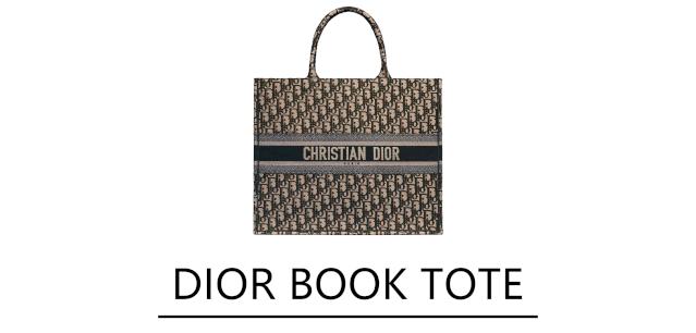 dior值得买的马鞍包是哪款,dior最好的十款包