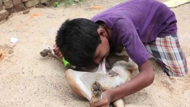 10岁孩子喝奶上瘾,为什么小孩喝牛奶上瘾