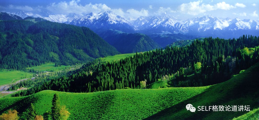 新疆天山申请世界自然遗产,天山为什么被入选为世界自然遗产