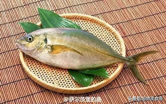 32种经典寿司做法视频,寿司常用的鱼