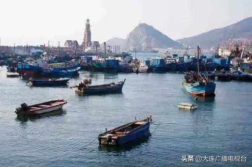 大连环城旅游巴士可以随便上下吗,大连环城巴士攻略