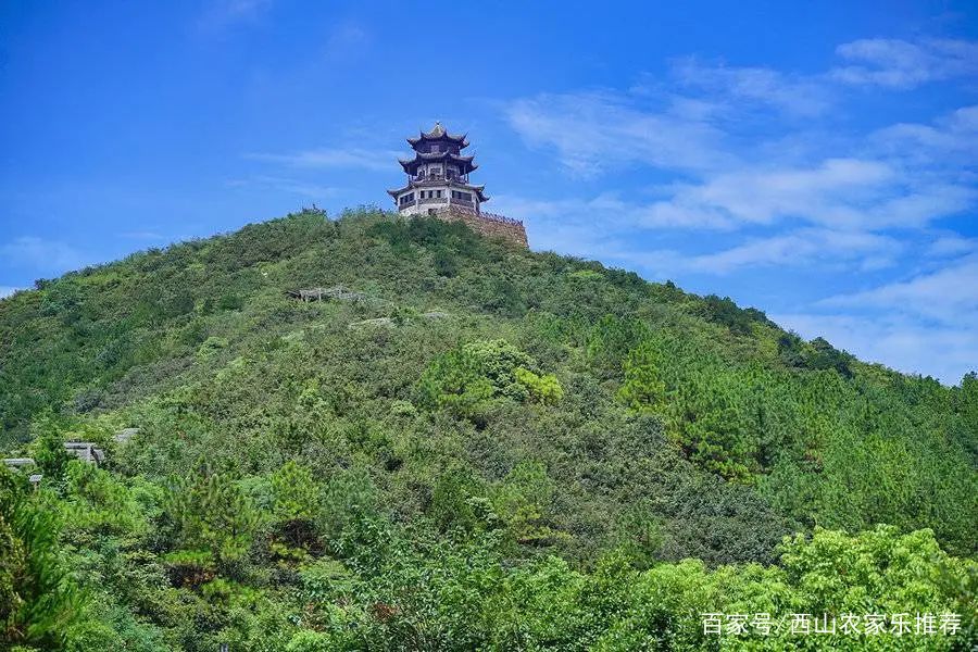 苏州西山网红打卡地樱花,苏州西山风景区有什么好玩的地方