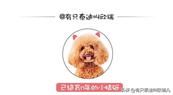 日本猫岛居民帮浪猫准备「御寒小屋」网：超暖心