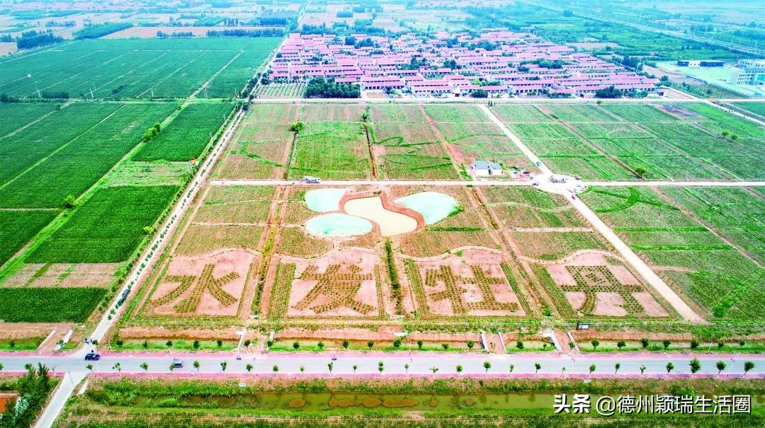 德州庆云县属于中西部城市吗,德州市庆云县发展