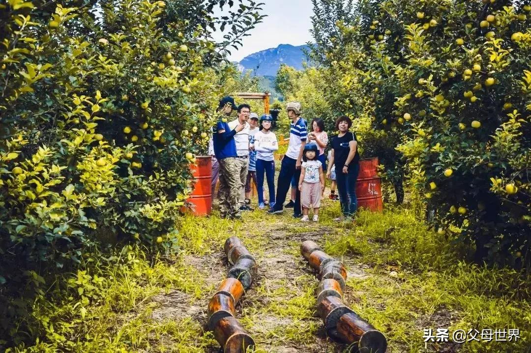 国内不太偏的亲子小众旅游 (全球最适合亲子游的十大旅游胜地)