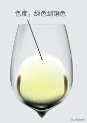 通过自己品鉴好喝的红酒,怎样品尝出红酒的年份