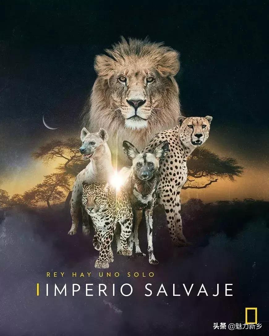 美国国家地理杂志2020摄影作品,美国国家地理杂志摄影展